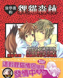 放学后这本书讲的是什么
